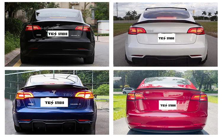 Model 3/Y Eagle Eye Style Tail Light